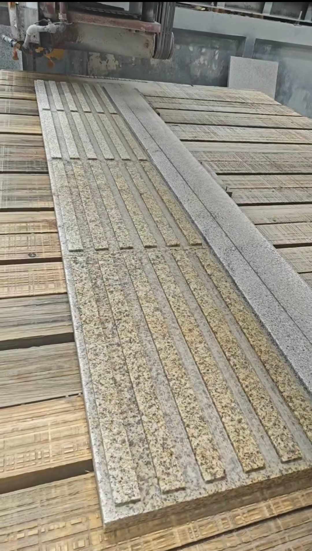 贵州黄金麻盲道石 盲条